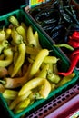 Peppers at Detering Farm in Eugene Oregon