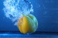 Peppers diving into water splashing Royalty Free Stock Photo