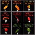 Peppers on a fork Royalty Free Stock Photo