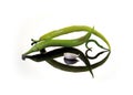 Peppers, green, curved, arranged