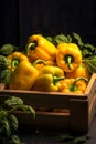 Peppers harvested in a wooden box with field and sunset in the background. Royalty Free Stock Photo