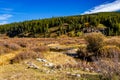 Peppers Lake Provincial Recreaction Area Clearwater County Alberta Canada Royalty Free Stock Photo