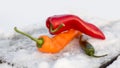 Peppers On Snow. Soft bokeh background.