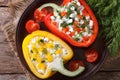 Peppers stuffed with curd and dill closeup top view horizontal Royalty Free Stock Photo