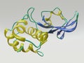 Peptide Molecule