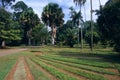 Peradeniya Botanical Garden, Kandy