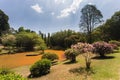 Peradeniya botanical garden in Kandy