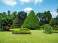 Peradeniya Botanical Garden landscape