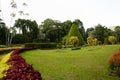 Peradeniya Royal Botanical Gardens - Kandy - Sri Lanka Royalty Free Stock Photo