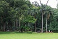 Peradeniya Royal Botanical Gardens - kandy - Sri lanka Royalty Free Stock Photo