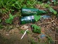 Two empty consumed Heineken beer bottle was found or thrown on the bushes Royalty Free Stock Photo