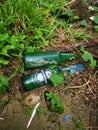 Two empty consumed Heineken beer bottle was found or thrown on the bushes Royalty Free Stock Photo