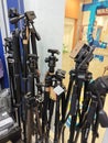 Various type of big and small photography tripods on displayed and sale at N4 Camera stor Royalty Free Stock Photo