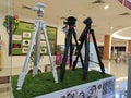 Various type of big and small photography tripods on displayed and sale at N4 Camera stor Royalty Free Stock Photo