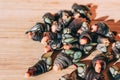 Percebes or Goose barnacles or gooseneck barnacles shell fish seafood