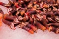 Percebes goose barnacles rare unusual seafood on display