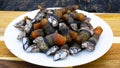 Percebes Gooseneck Barnacles on a Plate Royalty Free Stock Photo