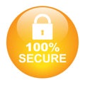 100 percent secure icon button Royalty Free Stock Photo