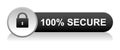 100 percent secure icon button Royalty Free Stock Photo