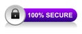 100 percent secure icon button Royalty Free Stock Photo