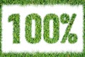 100 percents symbol green grass isolated