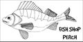 Perch fish doodle in lines on white background. Royalty Free Stock Photo