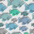 Perch hand drawing pattern seamless. Fish background Royalty Free Stock Photo