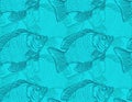 Perch hand drawing pattern seamless. Fish background Royalty Free Stock Photo