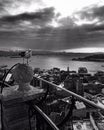 Sentry of the Skyline: Istanbul's Feathered Watcher Royalty Free Stock Photo