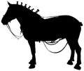 Percheron horse silhouette