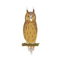 Perching Owl Bird with Broad Head and Sharp Talons Having Upright Stance Vector Illustration