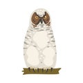 Perching Owl Bird with Broad Head and Sharp Talons Having Upright Stance Vector Illustration