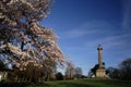 Percy Monument Royalty Free Stock Photo