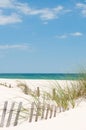 Perdido Key Sand Dune Royalty Free Stock Photo