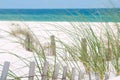 Perdido Key Sand Dune Royalty Free Stock Photo