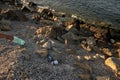 Person throwing a bottle of water on the shore , polluting the environment