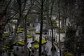 Pere-lachaise cemetery