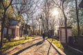 Pere-Lachaise cemetery sun shine through trees