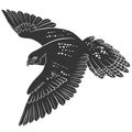 Peregrine Falcon Bird Flying Silhouette
