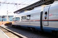 Peregrines at the station . Passenger transport. Speed train. . Saint Petersburg - Moscow. Russia, Saint Petersburg 30 July 2020