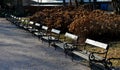 Perennial bed mulched with gray gravel in front of a limestone stone wall in a square with benches with wood paneling, beige path Royalty Free Stock Photo