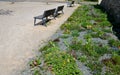 Perennial bed mulched with gray gravel in front of a limestone stone wall in a square with benches with wood paneling, beige path