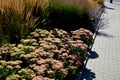 Perennial beds mulched with dark stone gravel with a predominance of ornamental grasses