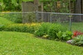 Perennial Flower Garden Growing Along Chain Fence