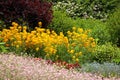 Perennial flowering plants Royalty Free Stock Photo