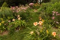 Perennial garden in Southwest Michigan