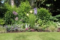 Perennial park garden Royalty Free Stock Photo