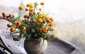 Perennial Spring Flowers in a vase