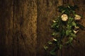 Perennial vine flower on old wood wall background