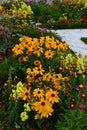 Perennials border